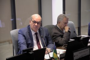 Brasil é reconhecido como país livre da influenza aviária de alta patogenicidade