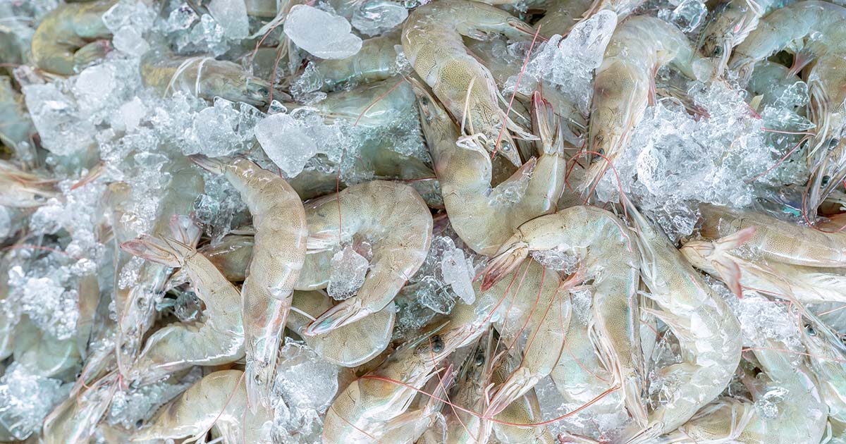 Alerta da FDA: Camarão congelado vendido no Walmart pode estar contaminado com radiação